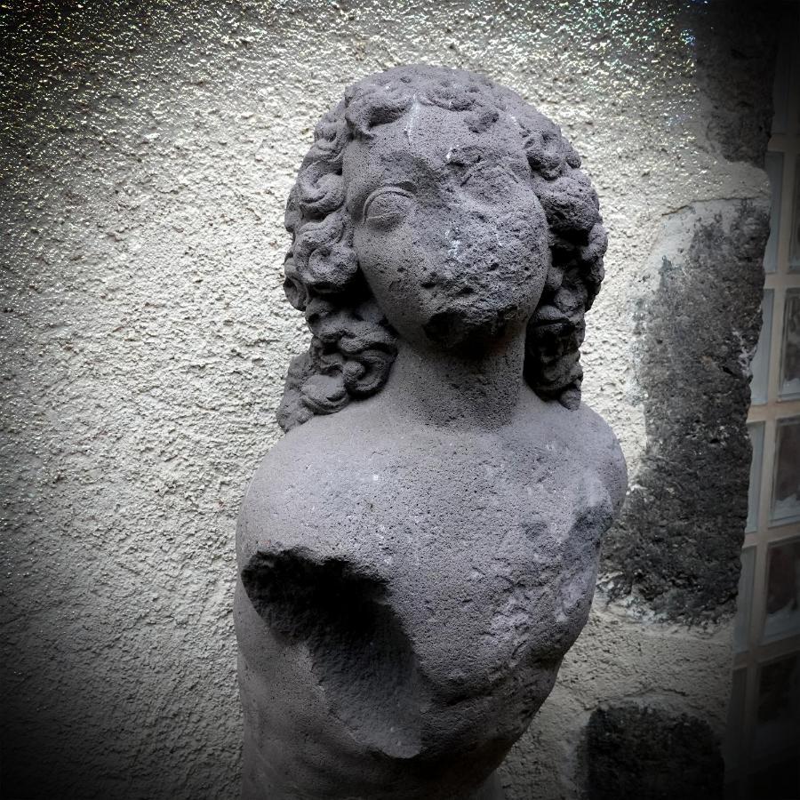 Appart' De La Collegiale Bourbon-Lancy Εξωτερικό φωτογραφία